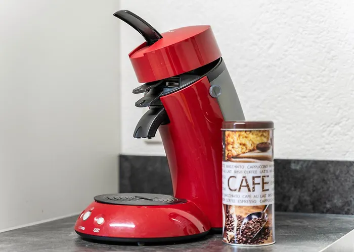 Lejlighed Geisbergblick Seelbach (Baden-Wurttemberg)